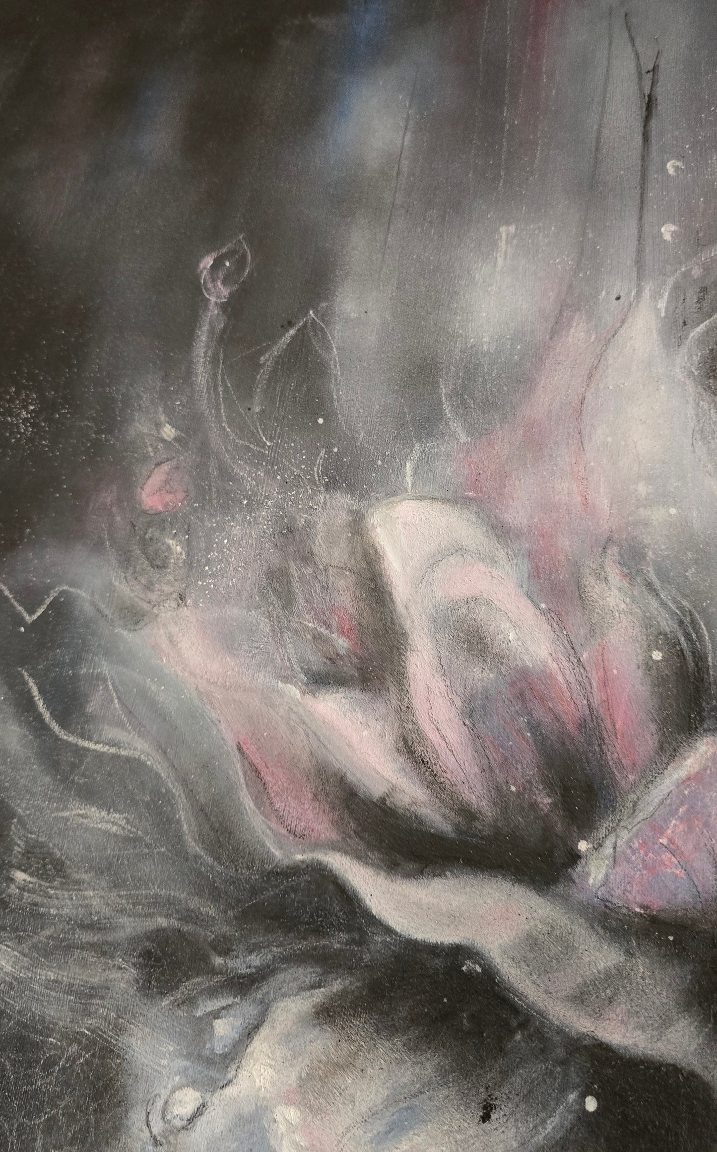 "Night Flower"